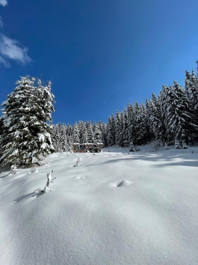 Fantazia Kulcsoshaz Villa Ciumani Bagian luar foto